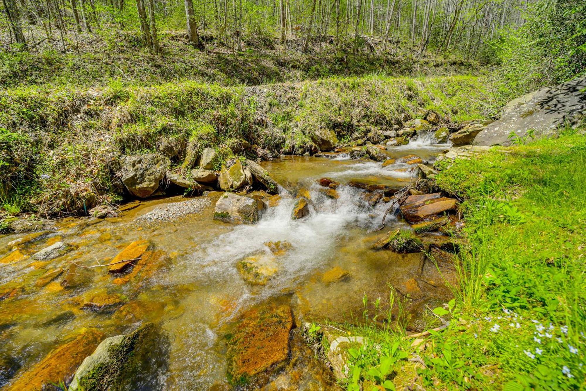 Creekside Whittier Cabin With Fire Pit Near Hiking! Bagian luar foto